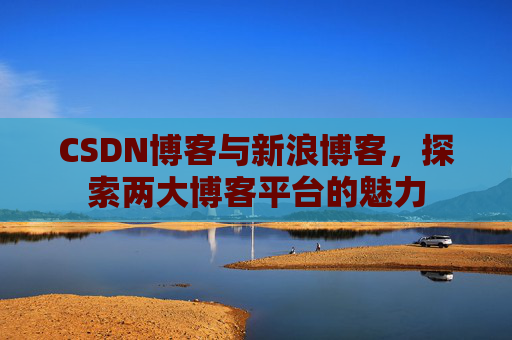 CSDN博客与新浪博客，探索两大博客平台的魅力