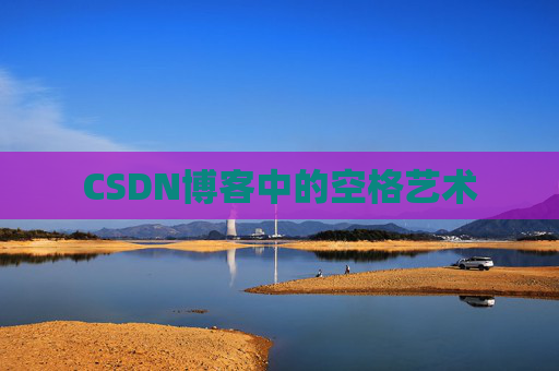 CSDN博客中的空格艺术